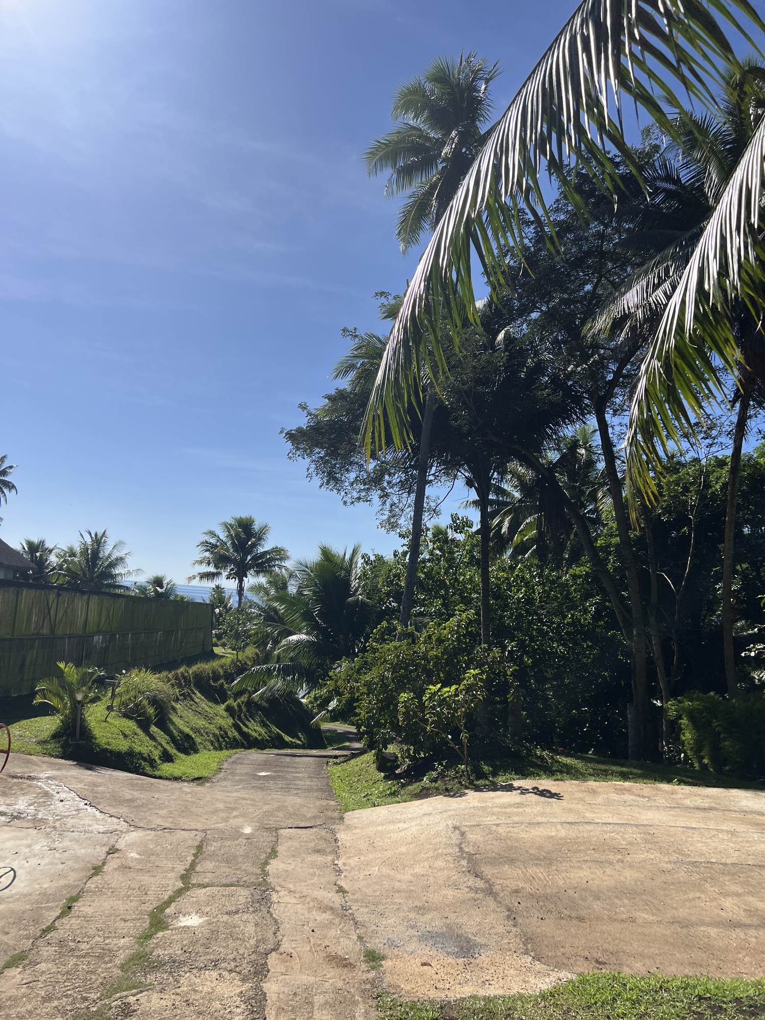 The path home on Taha'a, French Polynesia.